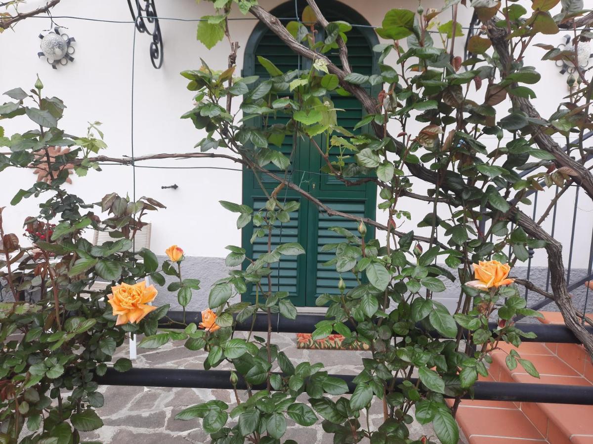 La Villa La Spezia Bagian luar foto