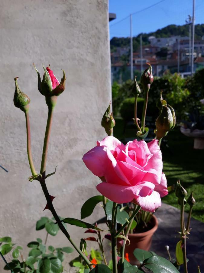 La Villa La Spezia Bagian luar foto